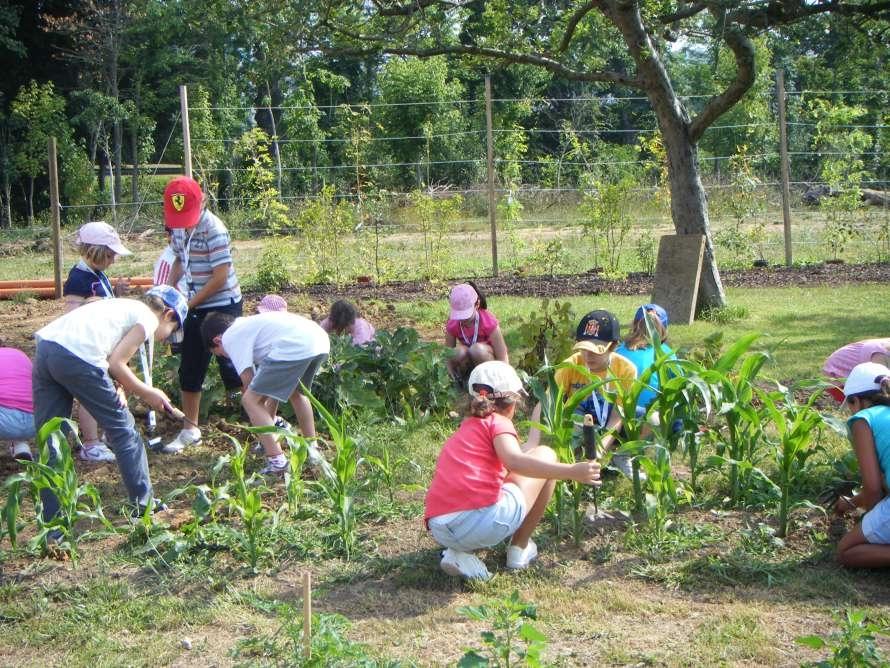 TALLER FAMILIAR: �MANOS A LA HUERTA!