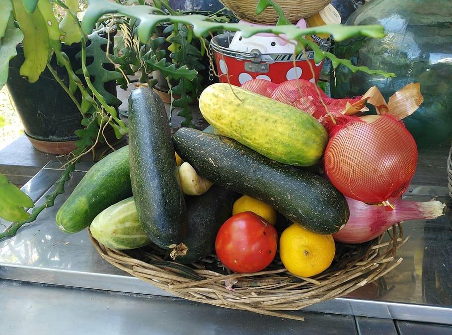 TALLER FAMILIAR: COCINA CON LA HUERTA DE TEMPORADA
